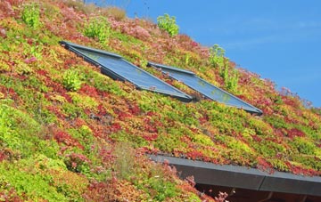 Cambourne living roof systems