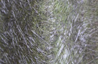 Cambourne fibreglass roof work